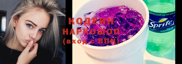 хмурый Вяземский