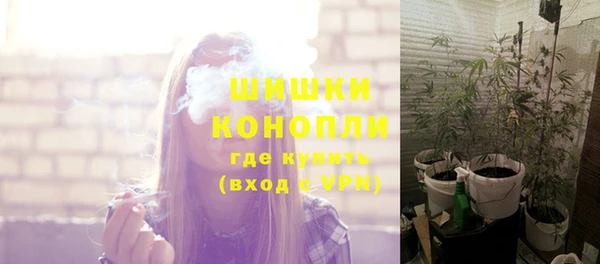 СК Вязьма