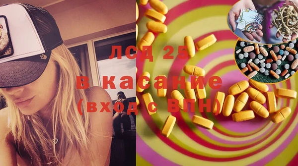 СК Вязьма