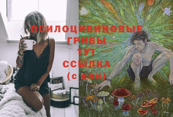 хмурый Вяземский