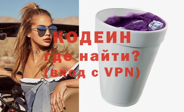 хмурый Вяземский