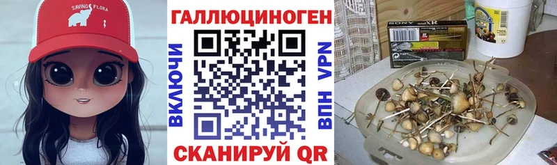 продажа наркотиков  Сенгилей  Псилоцибиновые грибы Psilocybe 