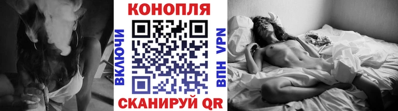 где найти Сенгилей Бошки марихуана Ganja